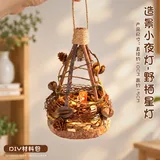 野栖星灯