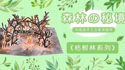 【枯树林】森林秘境