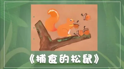 【捕食的松鼠】玩转动物园