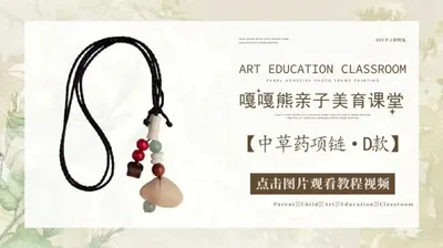 【D款】中草药项链