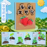 美术diy植物成长本-草莓