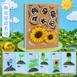 美术diy植物成长本-向日葵