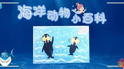 【海象】海洋动物